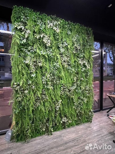 Фитостена, искусственное озеленение