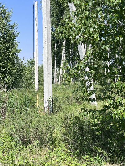 Участок 6 сот. (ИЖС)