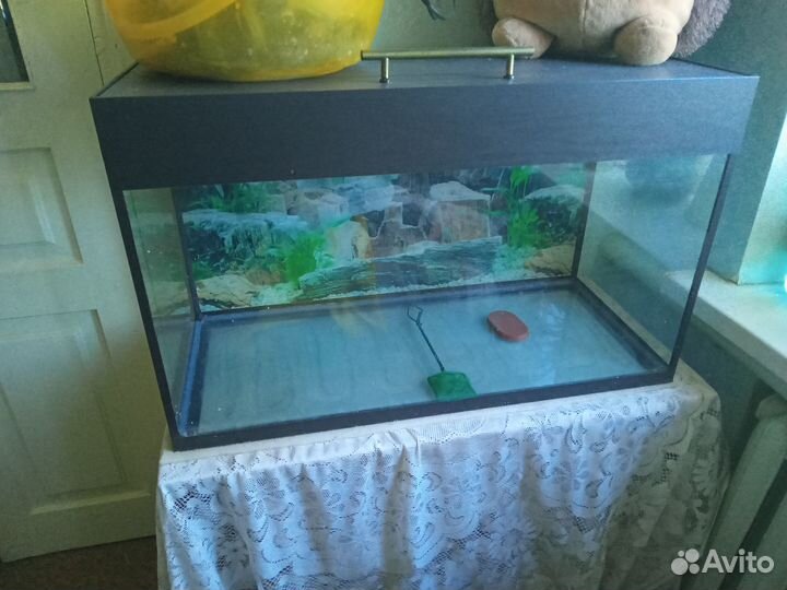 Аквариум