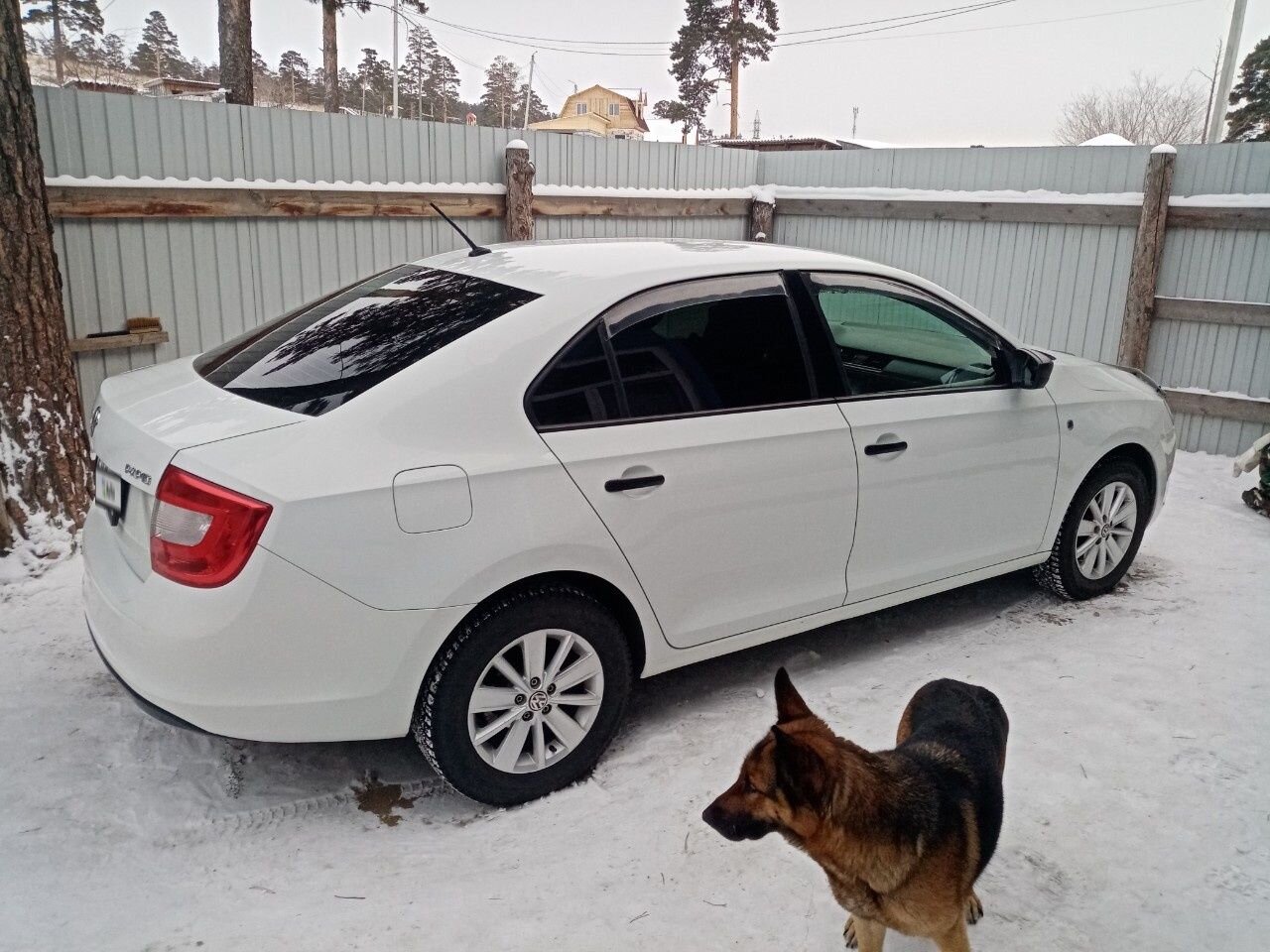 Skoda Rapid: фото владельца