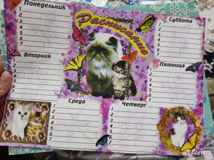 Расписание уроков для школьников бесплатно