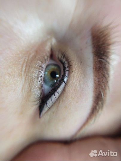 Перманентный макияж бровей губ и век