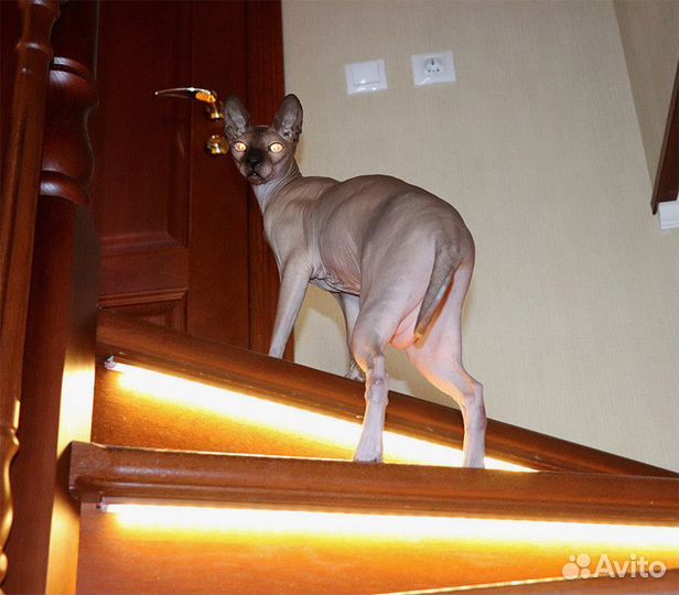 Подсветка для лестниц и ступеней