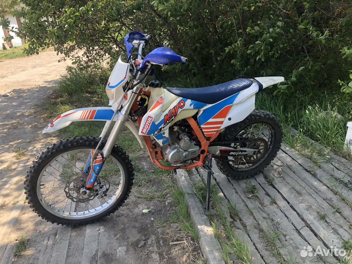 Kayo k1 2019