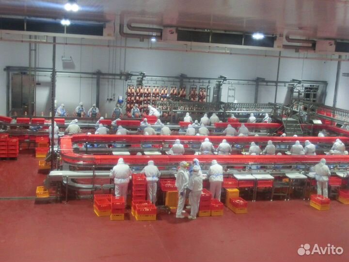 Вахта/г.Шахты/Семейное проживание/Проезд