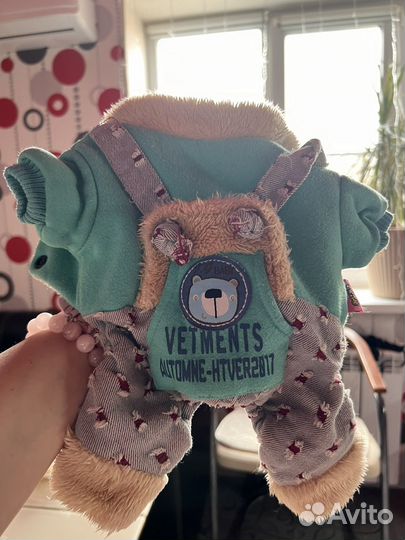 Одежда для мини йорка