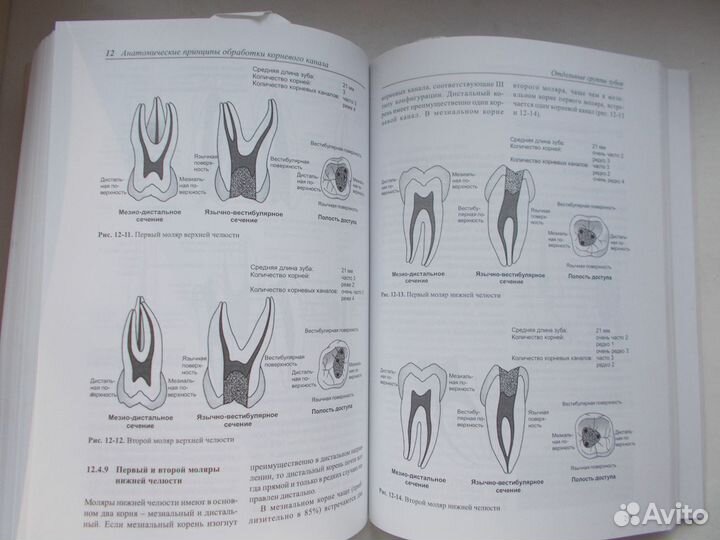 Терапевтическая стоматология 1999 г