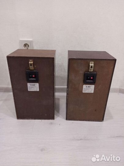 Акустические колонки Radiotehnika S-30A