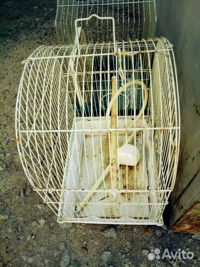 Клетка, есть 4 штуки