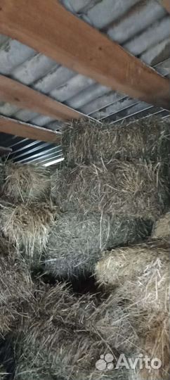 Сено в тюках