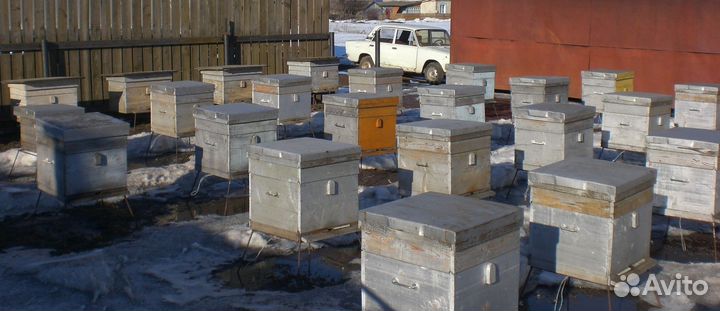 Пчелиные ульи 12-ти,16-ти и 20 рамочные