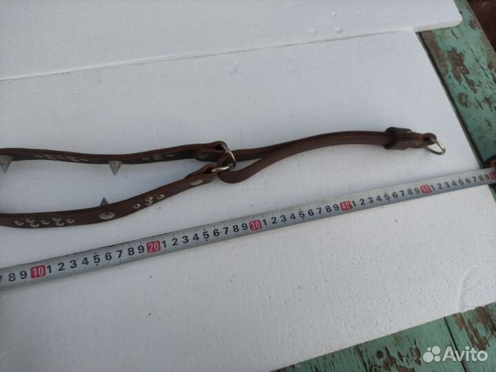 Ошейник кожа шипы строгий собака