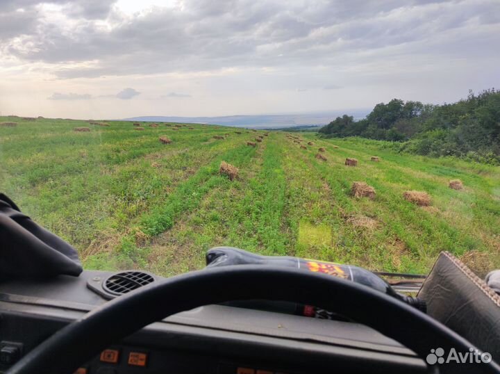 Сено и люцерна