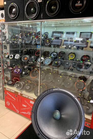 Эстрадная акустика DL Audio Barracuda 200