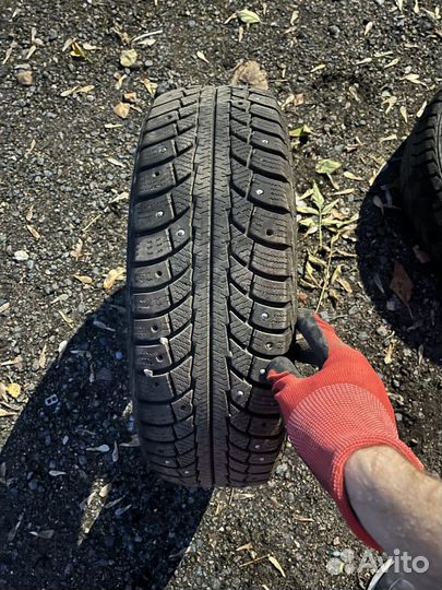 Gislaved Nord Frost 5 155/65 R13