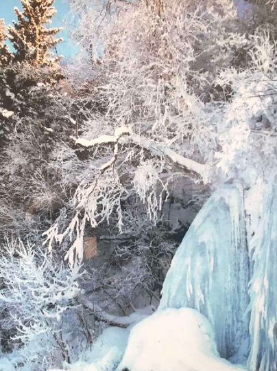 Дом 80 м² на участке 35 сот.