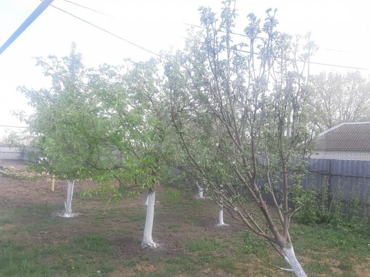 Дом 100 м² на участке 17 сот.