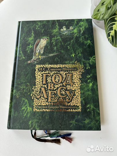 Год в лесу, Соколов-Микитов И.С., Речь, 2013