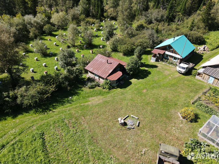 Продам пчелосемьи среднерусской породы