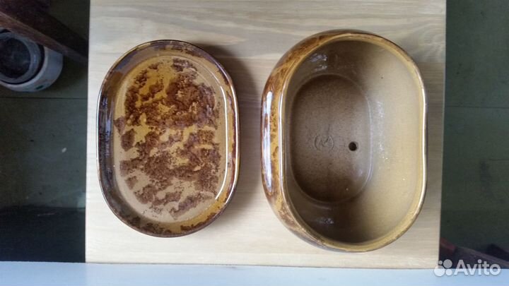 Бонсайница керамическая с поддоном