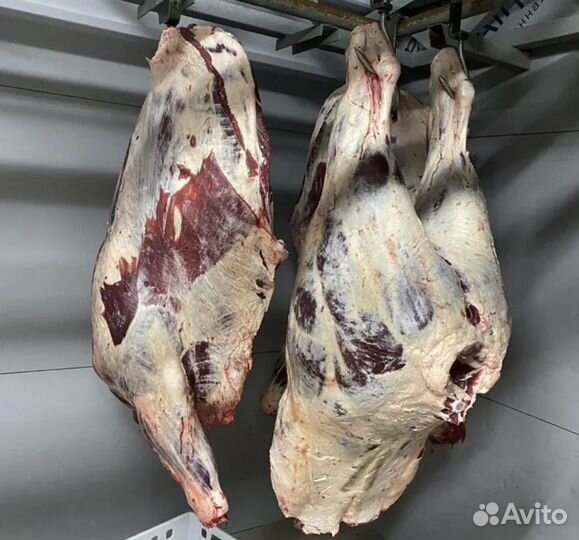 Мясо оптом