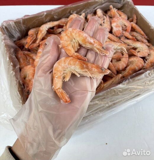 Креветка королевская в/м 50/70