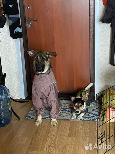 Кабель 1 год