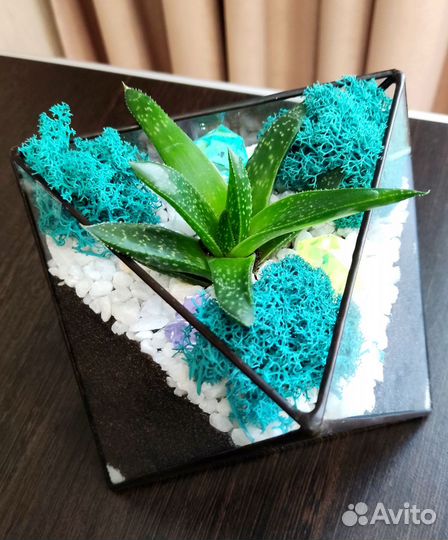 Подарок. Флорариум
