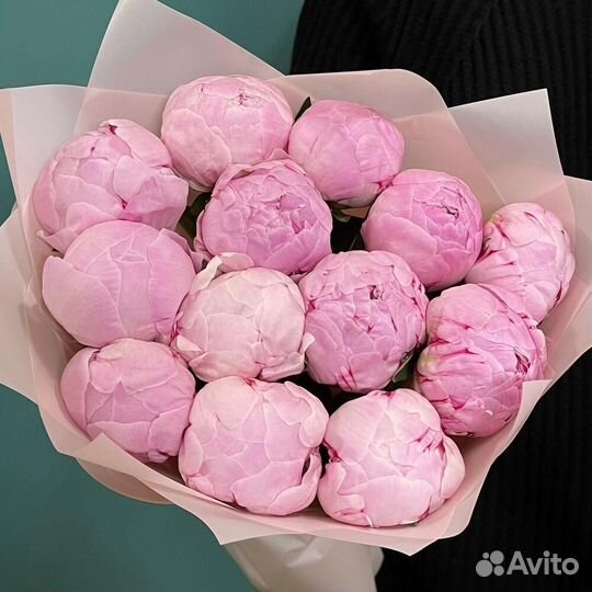 Пионы цветы букет 51 101 пион