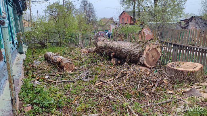 Отдам бесплатно