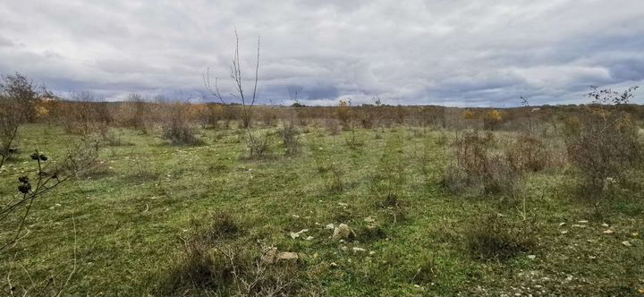 Участок 1,1 га (СНТ, ДНП)