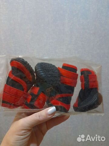 Обувь для собак