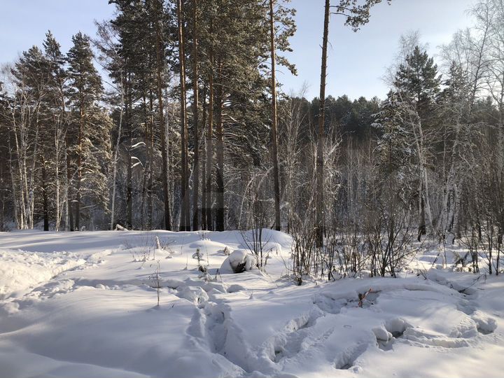 Участок 8 сот. (СНТ, ДНП)