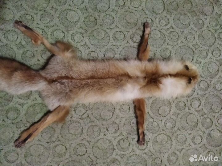 Лисья шкура