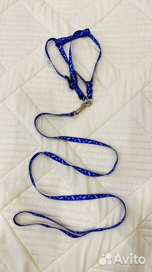 Шлейка для кошки