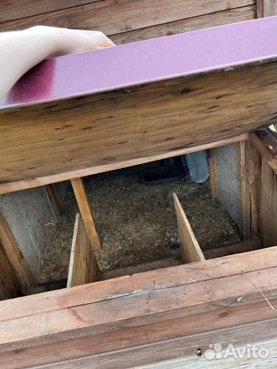Курятник для кур