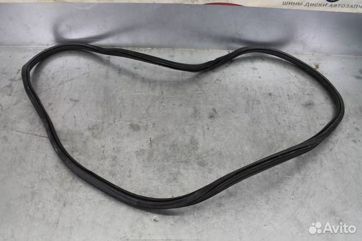 Уплотнитель кузова задней правой двери Audi A6(C