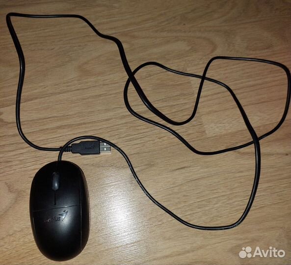Мышь Genius Netscroll 100x Usb