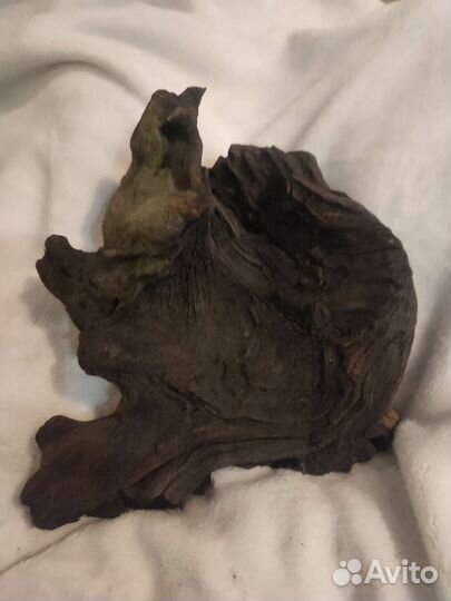 Аквариум 20л, анубиас, коряги, грунт