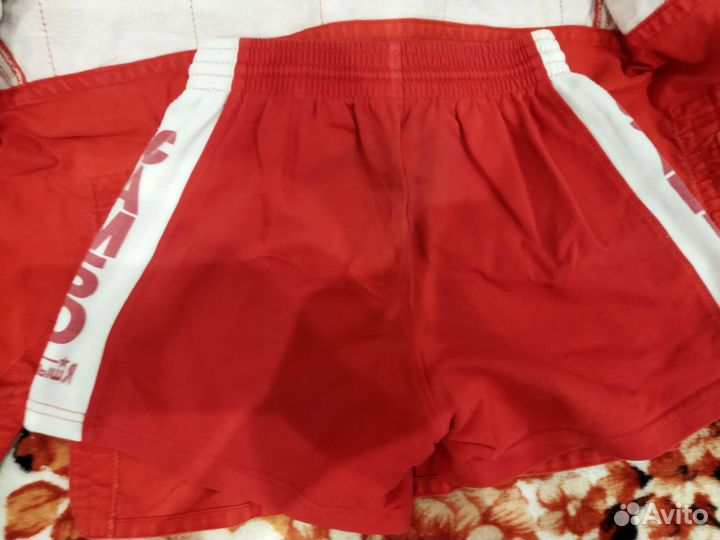 Самбовка крепышя