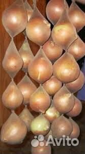 Колготки женские капроновые для хранения лука