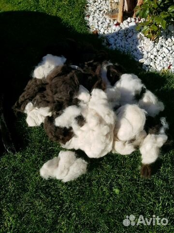 Собачья шерсть (пух вычес)