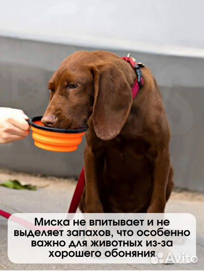 Складная миска для животных на карабине 350 мл
