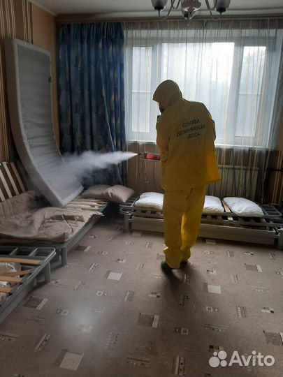 Клопы тараканы уничтожение