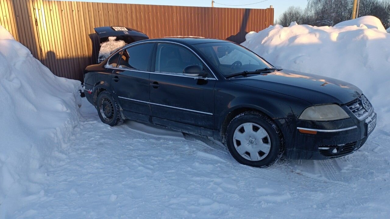Volkswagen Passat: фото владельца
