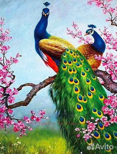 Алмазная мозаика 40x50 Большие павлины на цветущем