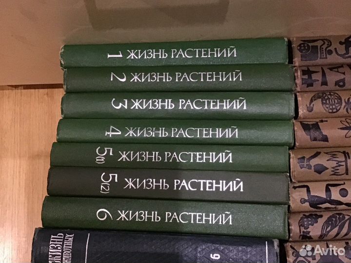 Жизнь растений. Жизнь животных