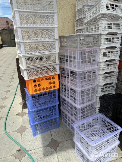 Пластиковые ящики для фруктов, овощей и ягод