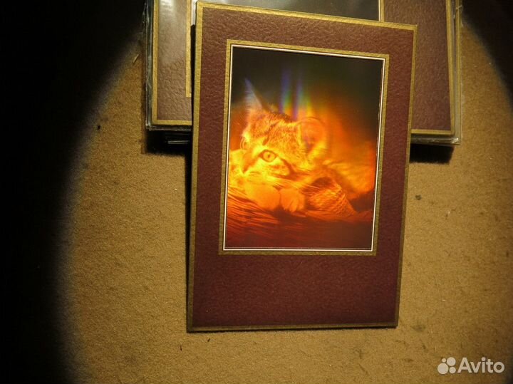 Котенок, лазерная голограмма картина