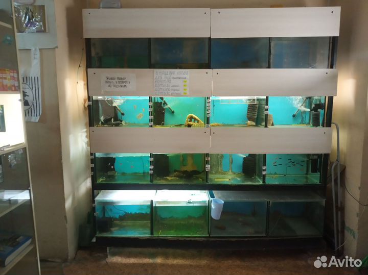 Оборудование и товары для животных